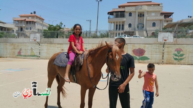 كفرقاسم - فيديو  : تعليم هواية ركوب الخيل في مدرسة جنة ابن رشد في اليوم الرابع لصيف الصادقة 